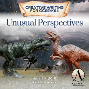 Unusual Perspectives